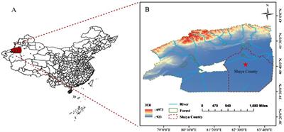 Response of photosynthesis, population physiological indexes, and yield of cotton in dry areas to the new technology of “dry sowing and wet emergence”